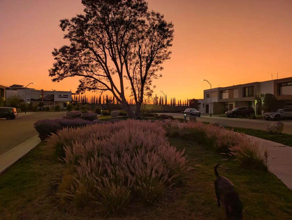 Fracc para caminar al enocheser