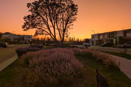 Fracc para caminar al enocheser