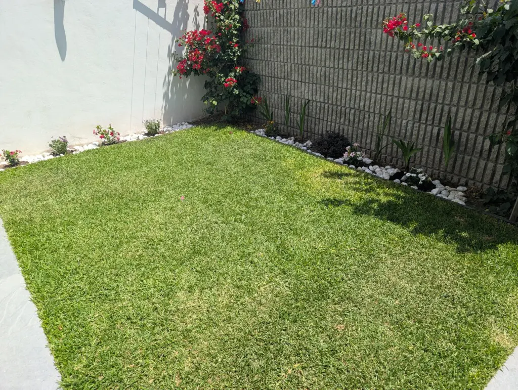 PXL 20250505 171923802.MP (1)