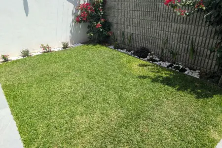 PXL 20250505 171923802.MP (1)